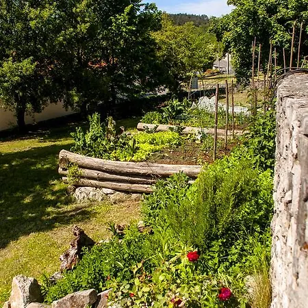 Bed & Breakfast Pr Vncki Divaca
